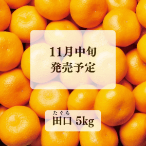 【田口】たぐち