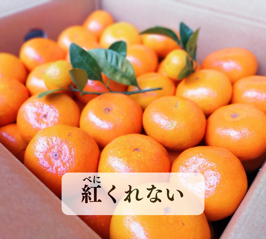 紅くれない