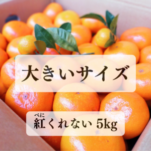 【紅くれない】大