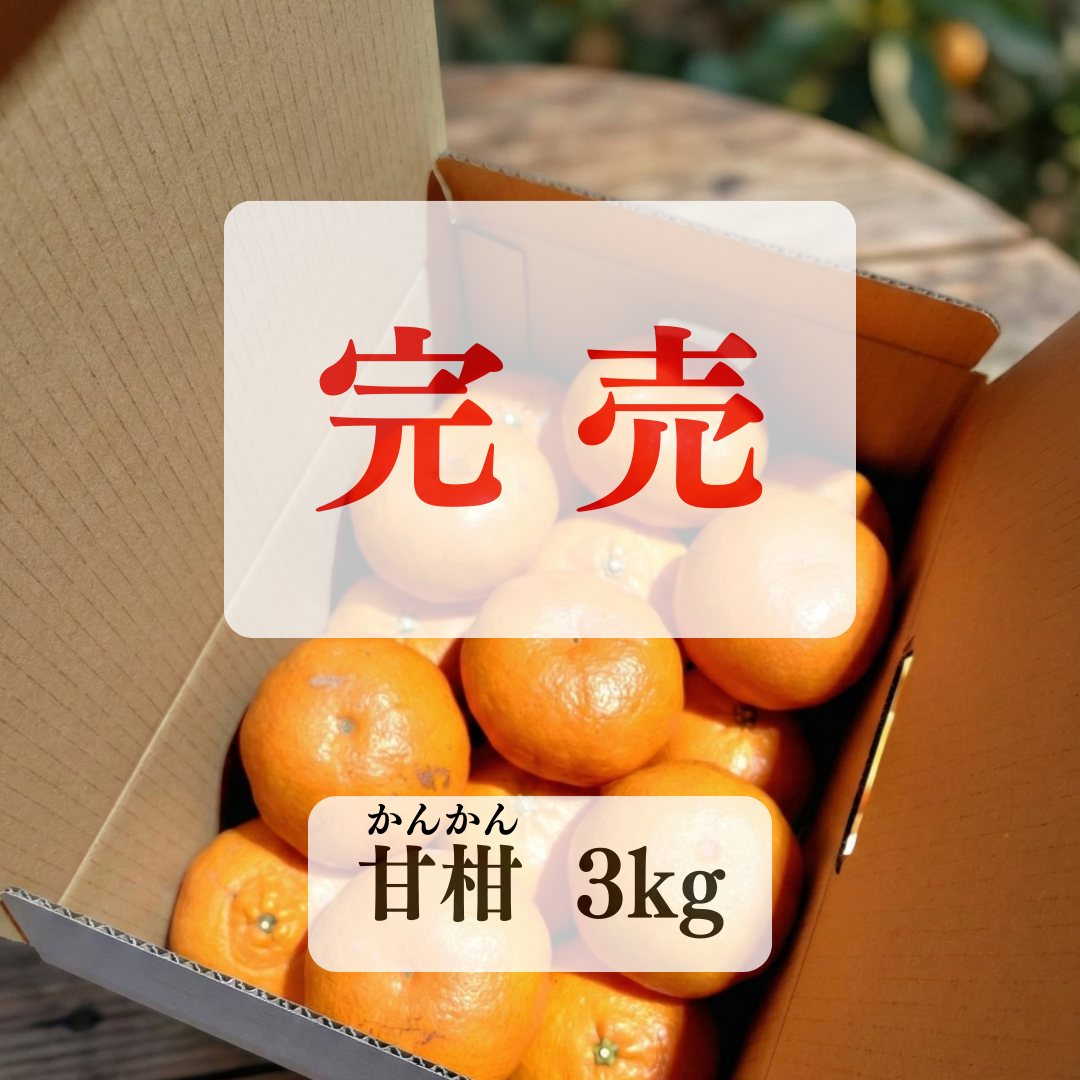 【甘柑】かんかん | ケンコウファームのみかん販売
