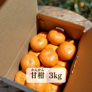 【甘柑】かんかん