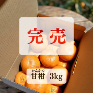 【甘柑】かんかん