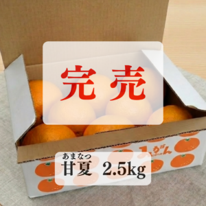 【甘夏】あまなつ